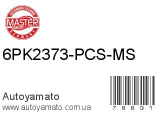 6PK2373-PCS-MS (MASTER SPORT)
